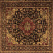 Square Persian Brown Traditional Rug, tr2204brn