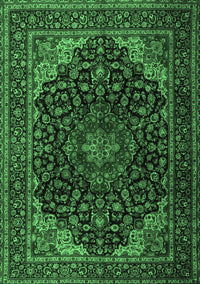Persian Emerald Green Traditional Rug, tr2204emgrn