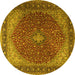 Round Machine Washable Persian Yellow Traditional Rug, wshtr2205yw