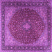 Square Persian Purple Traditional Rug, tr2205pur