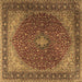 Square Machine Washable Persian Brown Traditional Rug, wshtr2205brn