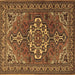 Square Machine Washable Persian Brown Traditional Rug, wshtr2207brn