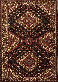Persian Brown Traditional Rug, tr2210brn