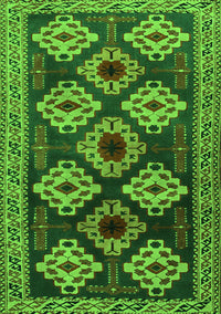 Persian Green Traditional Rug, tr2211grn