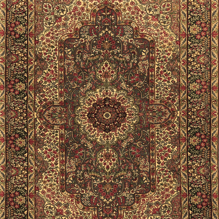 Machine Washable Medallion Brown Traditional Rug, wshtr2215brn