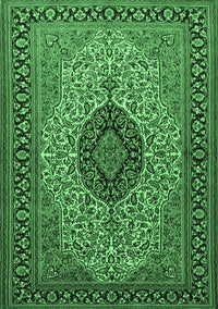 Medallion Emerald Green Traditional Rug, tr2216emgrn