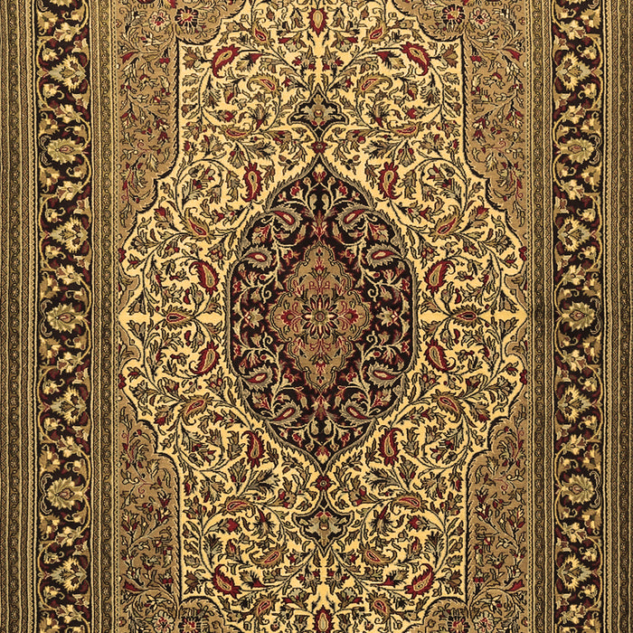 Medallion Brown Traditional Rug, tr2216brn