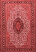 Medallion Red Traditional Area Rugs