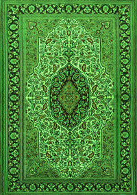 Medallion Green Traditional Rug, tr2216grn