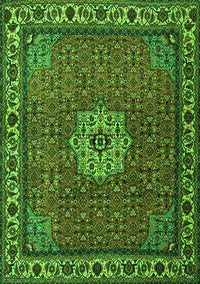 Persian Green Traditional Rug, tr2218grn