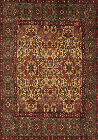 Persian Brown Traditional Rug, tr2219brn