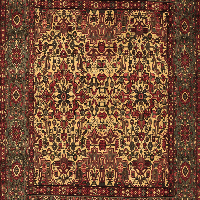 Persian Brown Traditional Rug, tr2219brn