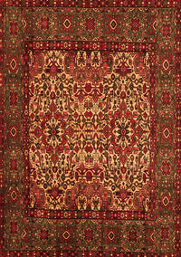 Persian Orange Traditional Rug, tr2219org