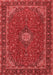 Medallion Red Traditional Area Rugs