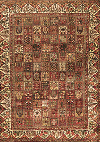 Persian Brown Traditional Rug, tr2224brn
