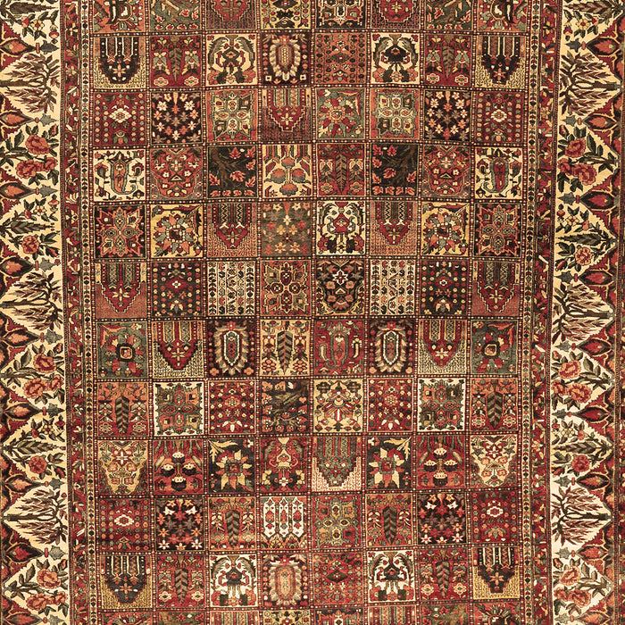 Persian Brown Traditional Rug, tr2224brn