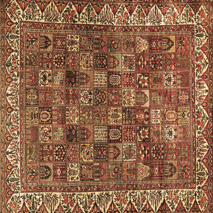 Square Persian Brown Traditional Rug, tr2224brn