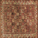 Square Persian Brown Traditional Rug, tr2224brn