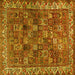 Square Persian Yellow Traditional Rug, tr2224yw