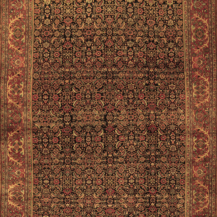 Machine Washable Persian Brown Traditional Rug, wshtr2225brn