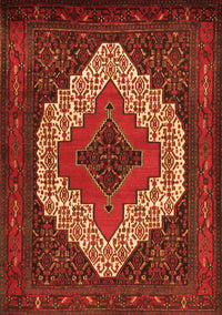 Persian Orange Traditional Rug, tr2229org