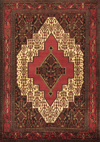 Persian Brown Traditional Rug, tr2229brn