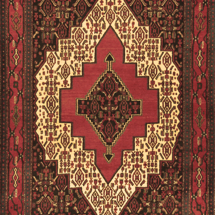 Persian Brown Traditional Rug, tr2229brn