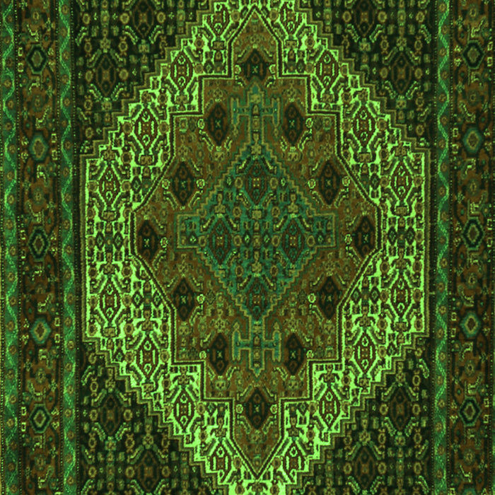 Persian Green Traditional Rug, tr2231grn