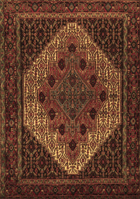 Persian Brown Traditional Rug, tr2231brn