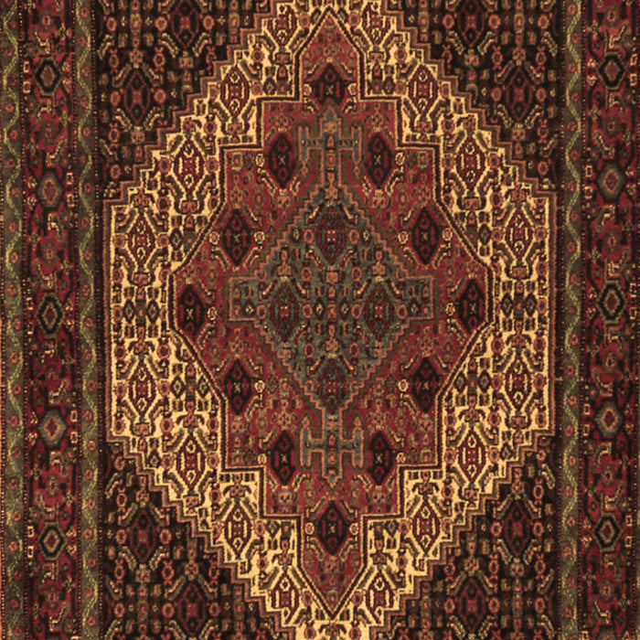 Machine Washable Persian Brown Traditional Rug, wshtr2231brn