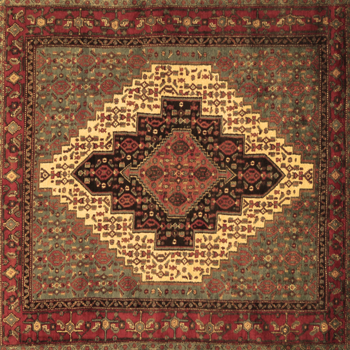 Square Persian Brown Traditional Rug, tr2233brn