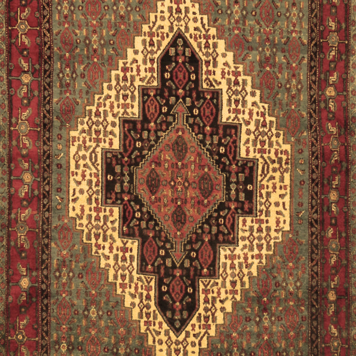 Machine Washable Persian Brown Traditional Rug, wshtr2233brn
