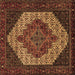 Square Machine Washable Persian Brown Traditional Rug, wshtr2234brn