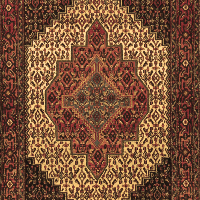 Machine Washable Persian Brown Traditional Rug, wshtr2234brn