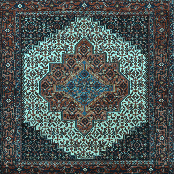 Square Persian Light Blue Traditional Rug, tr2234lblu