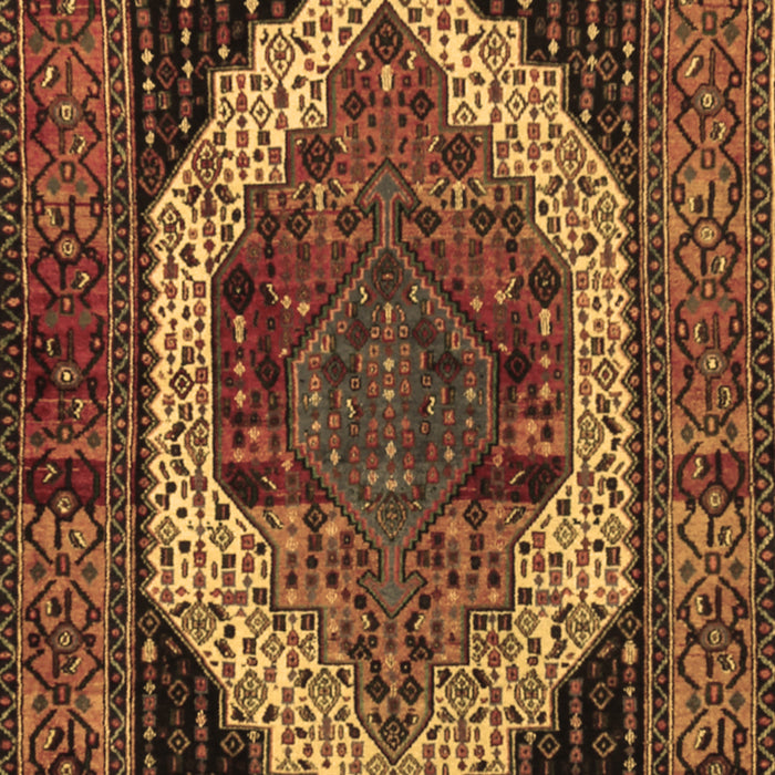 Machine Washable Persian Brown Traditional Rug, wshtr2235brn