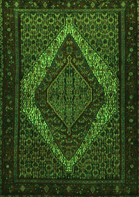 Persian Green Traditional Rug, tr2237grn