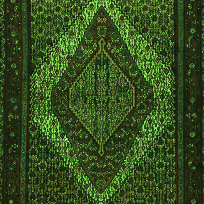 Persian Green Traditional Rug, tr2237grn