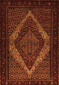 Persian Orange Traditional Rug, tr2237org