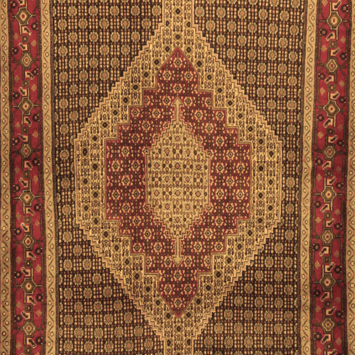 Machine Washable Persian Brown Traditional Rug, wshtr2238brn