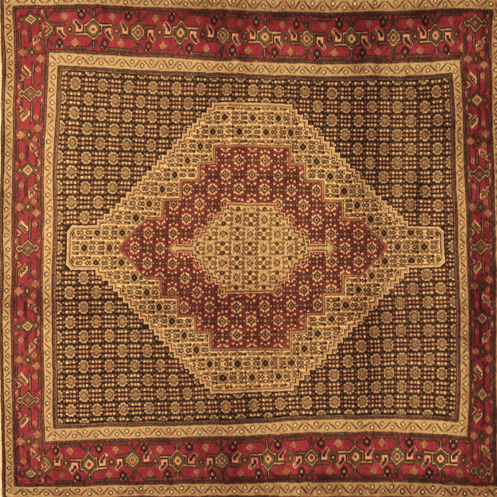 Square Persian Brown Traditional Rug, tr2238brn