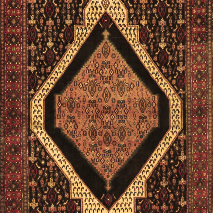 Machine Washable Persian Brown Traditional Rug, wshtr2239brn