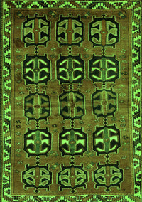 Persian Green Traditional Rug, tr223grn