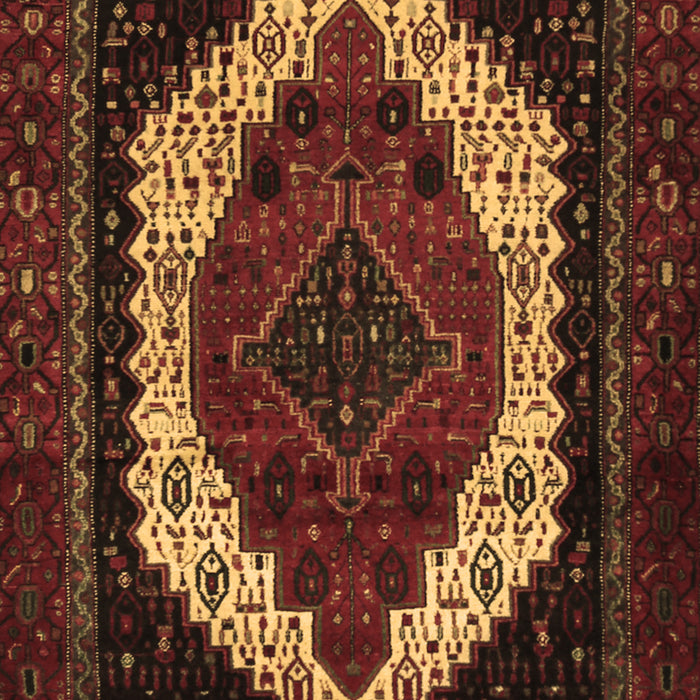 Machine Washable Persian Brown Traditional Rug, wshtr2240brn