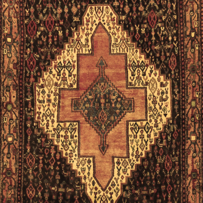 Persian Brown Traditional Rug, tr2241brn