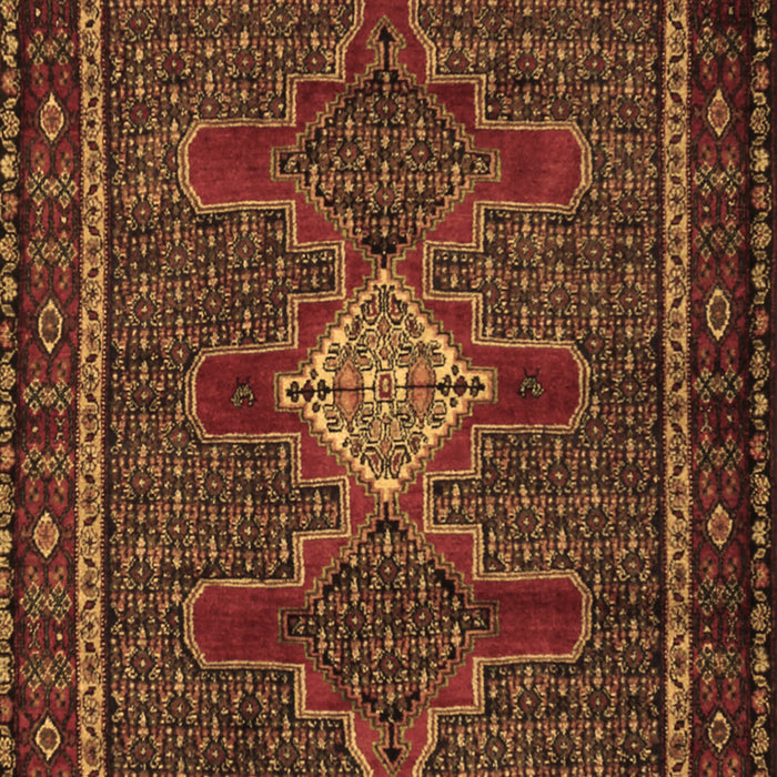 Persian Brown Traditional Rug, tr2242brn