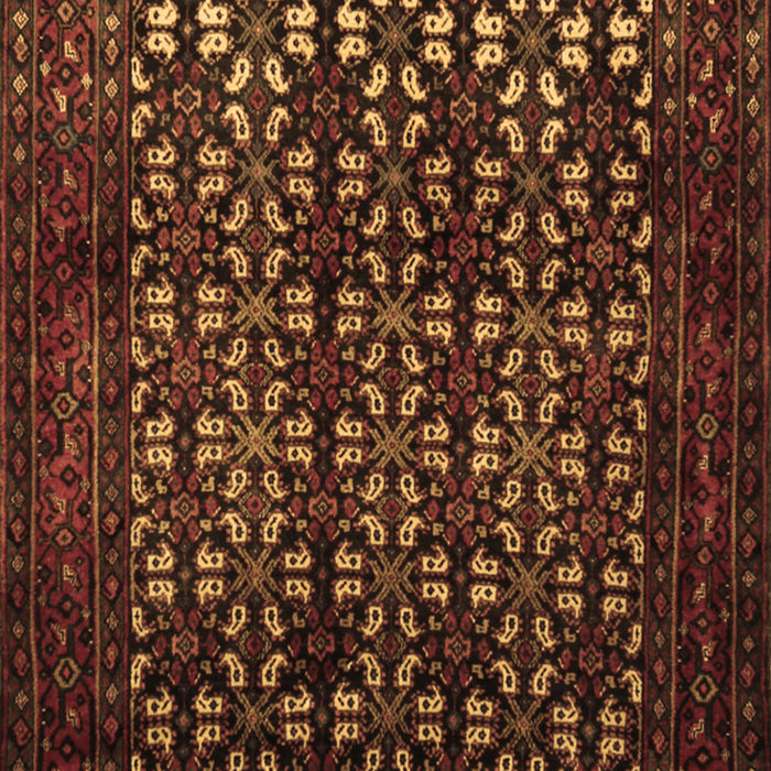 Machine Washable Persian Brown Traditional Rug, wshtr2243brn