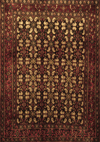 Persian Brown Traditional Rug, tr2243brn