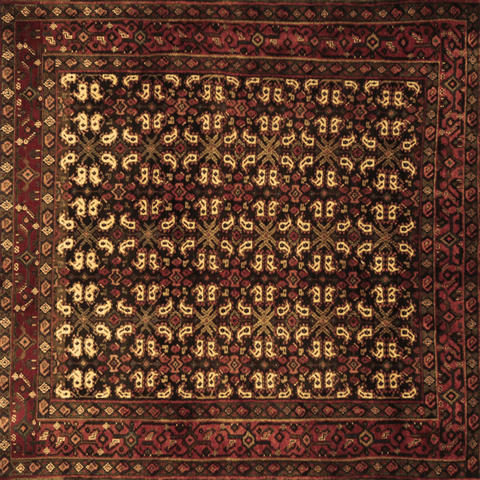 Square Persian Brown Traditional Rug, tr2243brn