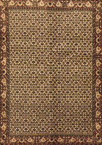 Persian Brown Traditional Rug, tr2245brn